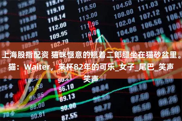 上海股指配资 猫咪惬意的翘着二郎腿坐在猫砂盆里。猫:Waiter,来杯82年的可乐_女子_尾巴_笑声