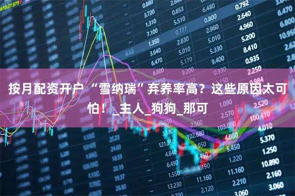 按月配资开户 “雪纳瑞”弃养率高？这些原因太可怕！_主人_狗狗_那可