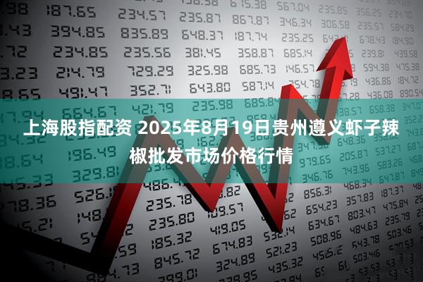 上海股指配资 2025年8月19日贵州遵义虾子辣椒批发市场价格行情