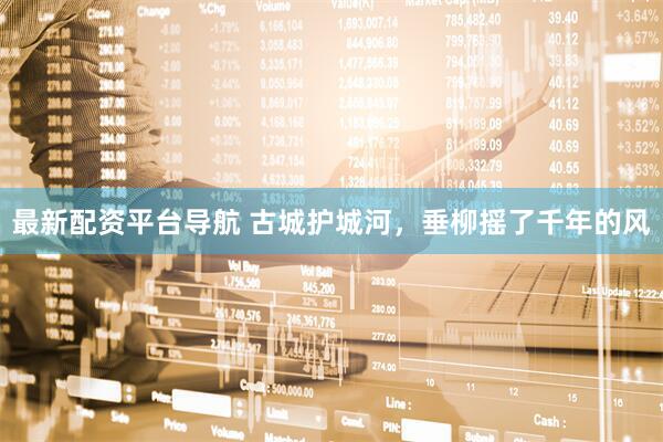 最新配资平台导航 古城护城河，垂柳摇了千年的风